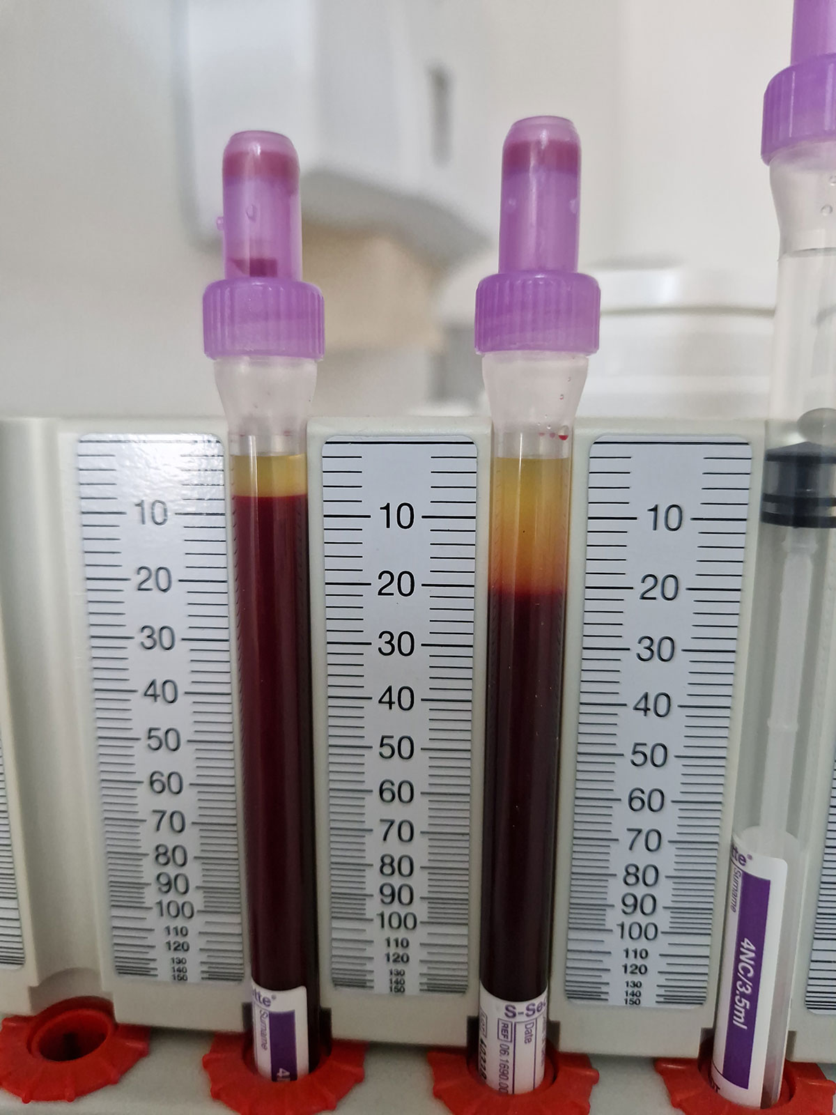 heilehaeuschen_img_13